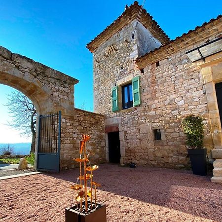 Domaine De Lejos - Portes D'Albi Lamillarié エクステリア 写真