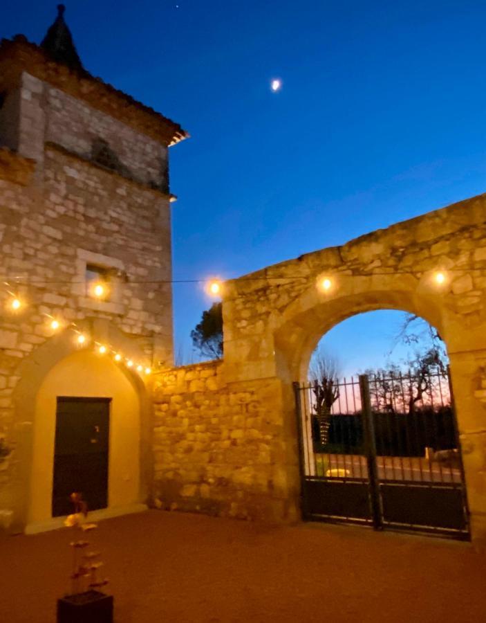 Domaine De Lejos - Portes D'Albi Lamillarié エクステリア 写真