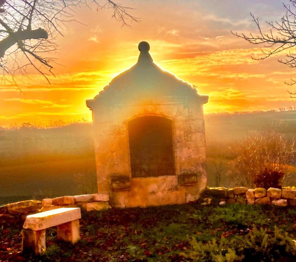 Domaine De Lejos - Portes D'Albi Lamillarié エクステリア 写真