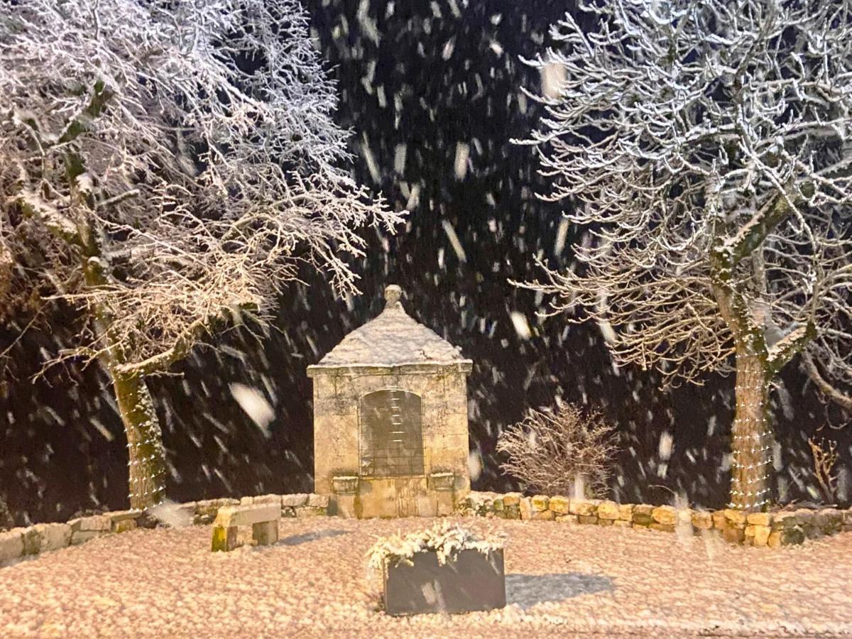 Domaine De Lejos - Portes D'Albi Lamillarié エクステリア 写真