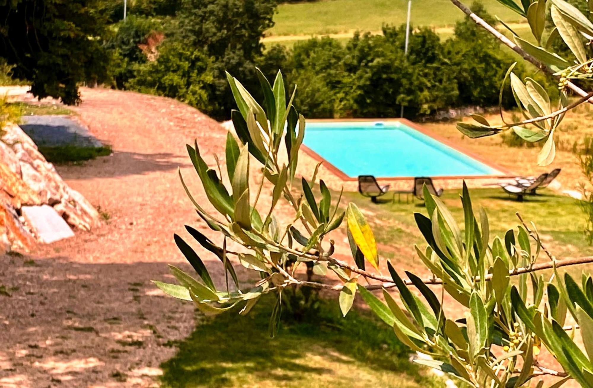 Domaine De Lejos - Portes D'Albi Lamillarié エクステリア 写真