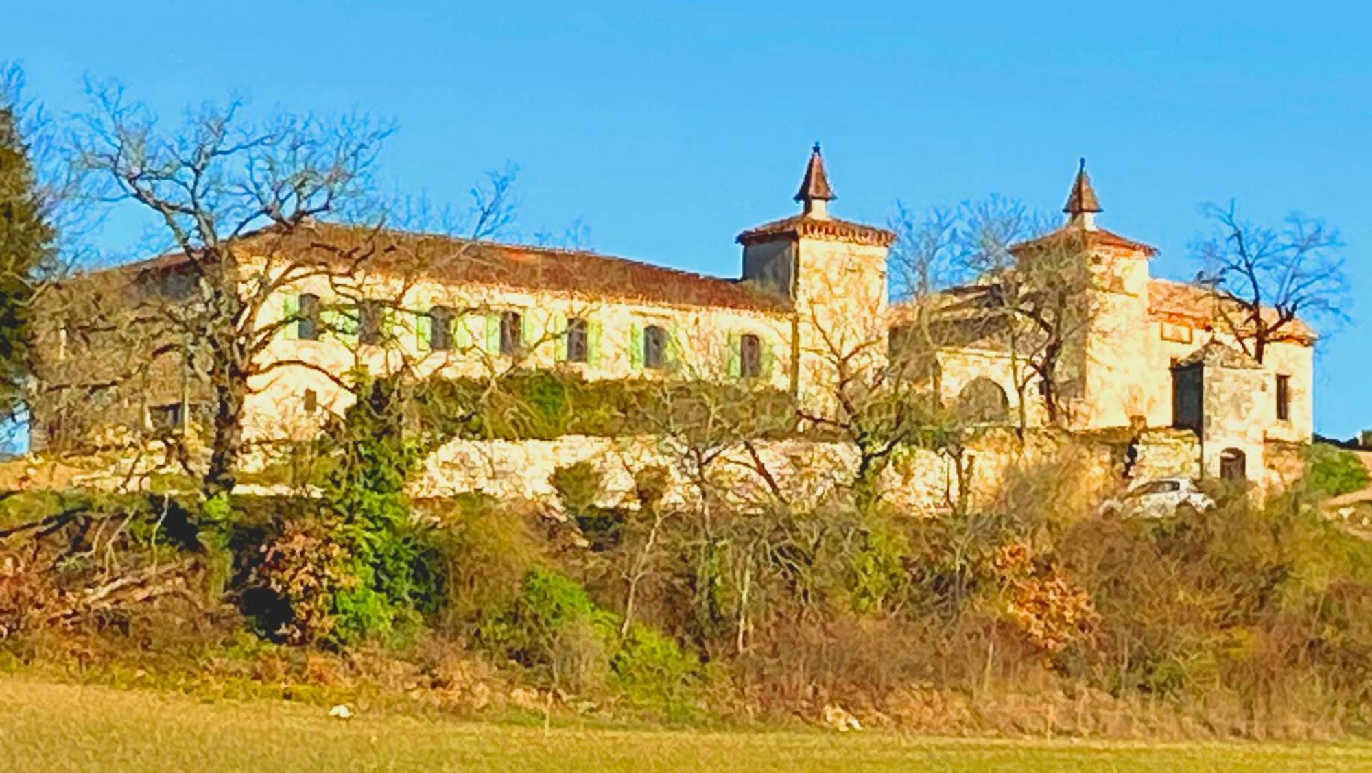Domaine De Lejos - Portes D'Albi Lamillarié エクステリア 写真